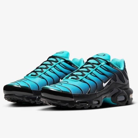 NIKE Air Max Plus TN Light Retro DM0032-401 NIKE Air Max Plus TN Light Retro DM0032-401