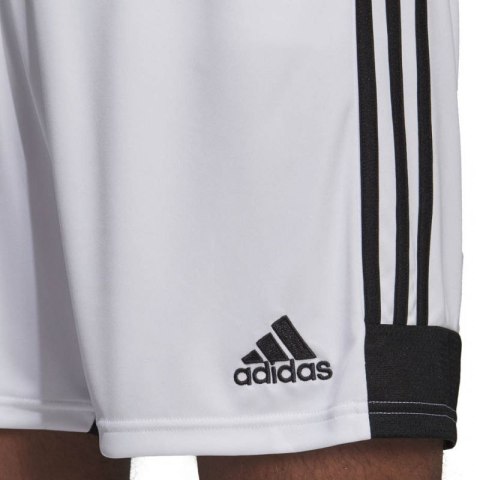 Spodenki adidas Tastigo 19 Shorts M DP3247 Spodenki adidas Tastigo 19 Shorts M DP3247