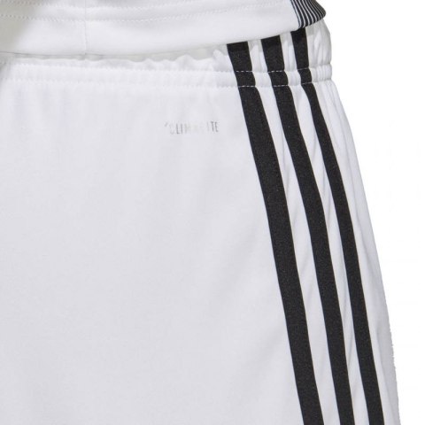 Spodenki adidas Tastigo 19 Shorts M DP3247 Spodenki adidas Tastigo 19 Shorts M DP3247