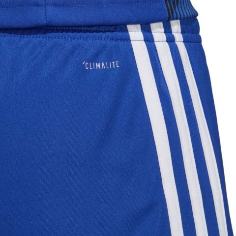 Spodenki adidas Tastigo 19 Shorts M DP3682 Spodenki adidas Tastigo 19 Shorts M DP3682