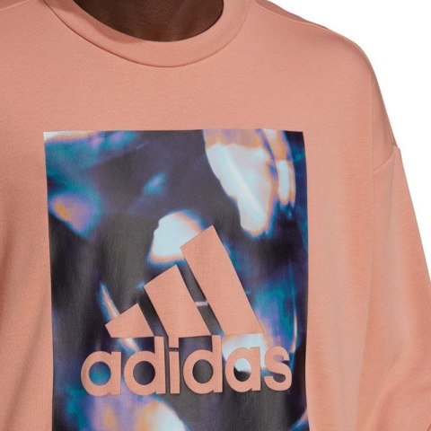 Bluza adidas Youforyou Sweatshirt W HA2431 Bluza adidas Youforyou Sweatshirt W HA2431
