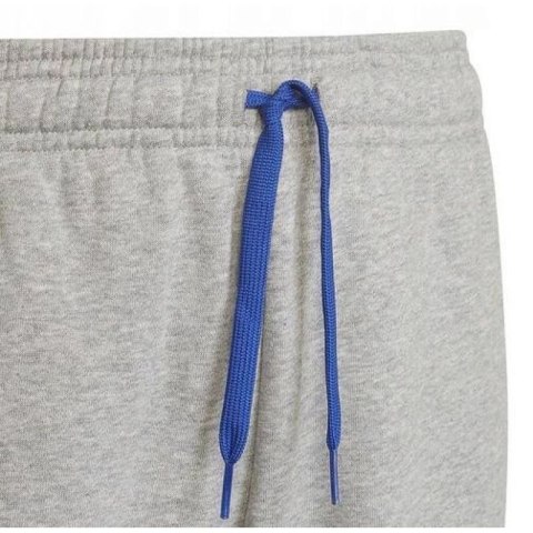 Spodnie adidas Trainings Jr HN6712 Spodnie adidas Trainings Jr HN6712