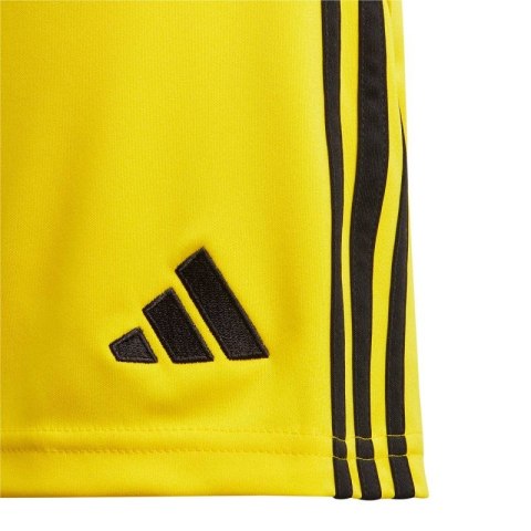 Spodenki adidas Tiro 24 Jr IT2410 Spodenki adidas Tiro 24 Jr IT2410