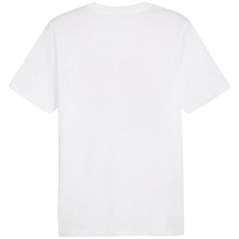 Koszulka Puma Graphics Summer Sports Tee II M 627909 02 Koszulka Puma Graphics Summer Sports Tee II M 627909 02