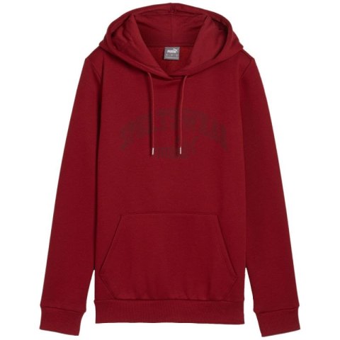 Bluza Puma Ess+ Logo LAB Hoodie FL W 682987 13 Bluza Puma Ess+ Logo LAB Hoodie FL W 682987 13
