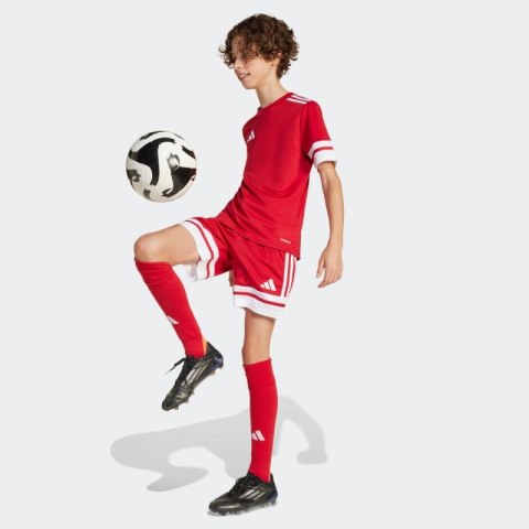 Spodenki adidas Squadra 25 Jr JJ2416