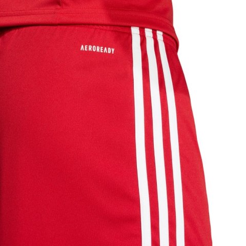 Spodenki adidas Squadra 25 M JE7745