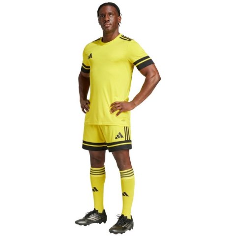 Spodenki adidas Squadra 25 M JH3403