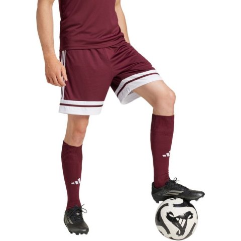Spodenki adidas Squadra 25 M JC8677