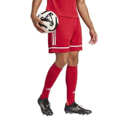 Spodenki piłkarskie adidas Squadra M 25 Short JN5466 Spodenki piłkarskie adidas Squadra M 25 Short JN5466