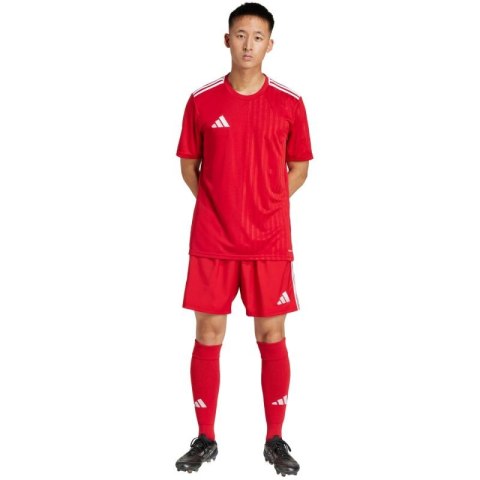 Spodenki adidas Tastigo 25 M JN7157 Spodenki adidas Tastigo 25 M JN7157