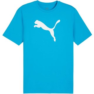 Koszulka Puma Team Rise Logo Jersey Cotton M 658705 02