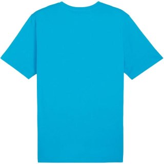 Koszulka Puma Team Rise Logo Jersey Cotton M 658705 02