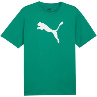 Koszulka Puma Team Rise Logo Jersey Cotton M 658705 05
