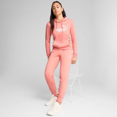 Bluza Puma ESS No.1 Logo Hoodie W 682391 18