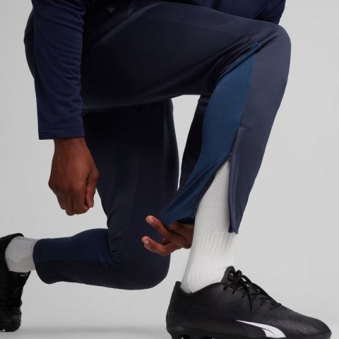 Spodnie Puma Team Goal Training M 658639 06 Spodnie Puma Team Goal Training M 658639 06