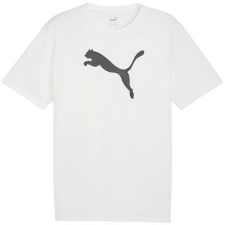 Koszulka Puma Team Rise Logo Jersey Cotton M 658705 04