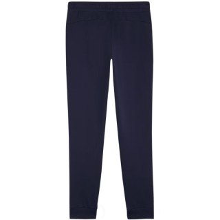 Spodnie Puma Team Goal Casuals W 658604 06