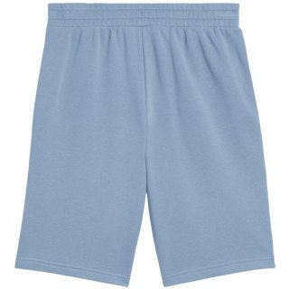 Spodenki Puma Ess 2 Color No. 1 Logo M 684715 34