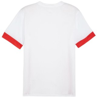 Koszulka Puma teamGoal Matchday Jersey M 705747 11