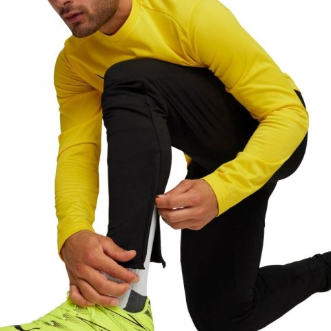 Spodnie Puma Team Goal Slim Training M 659037 03 Spodnie Puma Team Goal Slim Training M 659037 03