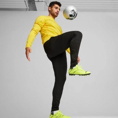 Spodnie Puma Team Goal Slim Training M 659037 03 Spodnie Puma Team Goal Slim Training M 659037 03